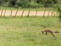 15 07  Creux de Terre  0001