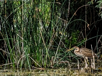 15 07  Creux de Terre  0005