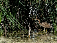 15 07  Creux de Terre  0006