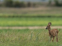 15 07  Creux de Terre  0008