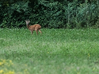 15 07  Creux de Terre  0014