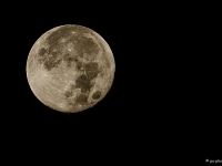 14 10  Lune  0003