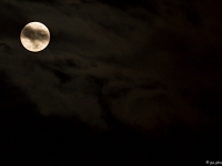 15 01  Lune  0001