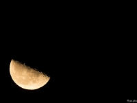 15 01  Lune  0002