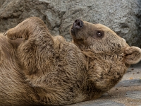 14 09  Zoo de Servion  0004 : Famille, Zoo Servion