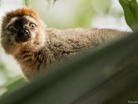 Zoo de Zurich