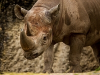 15 05  Zoo Zurich  0261