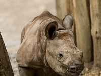 15 05  Zoo Zurich  0279