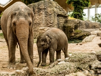 15 05  Zoo Zurich  0283