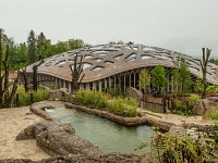 15 05  Zoo Zurich  0308