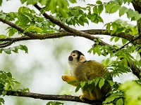 15 05  Zoo Zurich  0320
