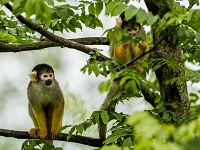 15 05  Zoo Zurich  0321