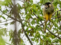 15 05  Zoo Zurich  0323