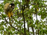15 05  Zoo Zurich  0325