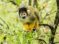 15 05  Zoo Zurich  0327