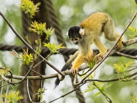 15 05  Zoo Zurich  0328