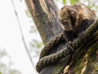 15 05  Zoo Zurich  0335