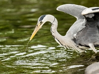 15 05  Zoo Zurich  0348